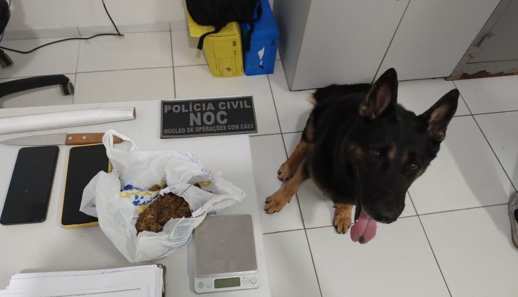 OPERAÇÃO CARNAVAL SEGURO: POLÍCIA CIVIL REALIZA PRISÕES NA CAPITAL E NO INTERIOR DO ESTADO